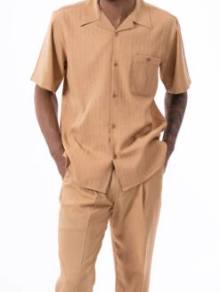 Tan Tone On Tone Striped Walking Suit 2 Piece Short Sleeve Set