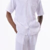 White Tone On Tone Striped Walking Suit 2 Piece Short Sleeve Set