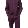 Plum Tone-on-Tone 2 Piece Long Sleeve Walking Suit Set