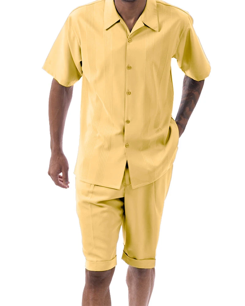 Gold Tone On Tone Vertical Stripes Walking Suit 2 Piece Short Sleeve Set With Shorts 1 Gold Tone On Tone Vertical Stripes Walking Suit 2 Piece Short Sleeve Set With Shorts