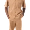Tan Tone On Tone Striped Walking Suit 2 Piece Short Sleeve Set With Shorts