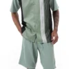 Apple Vertical Stripe Walking Suit 2 Piece Set Short Sleeve Shirt With Shorts
